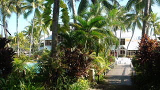 シェラトンミラージュ Sheraton Mirage 庭 ガーデン